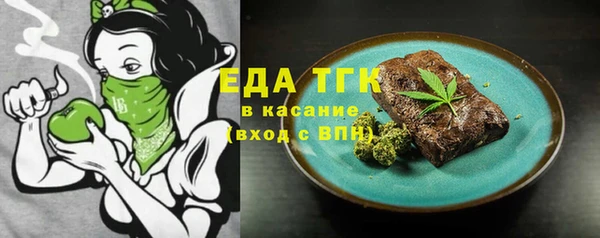 индика Беломорск