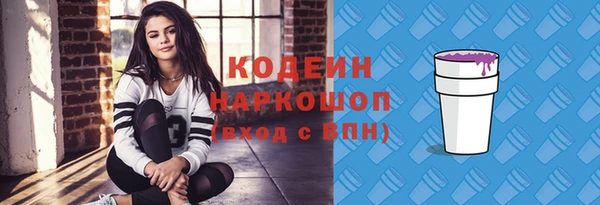 индика Беломорск