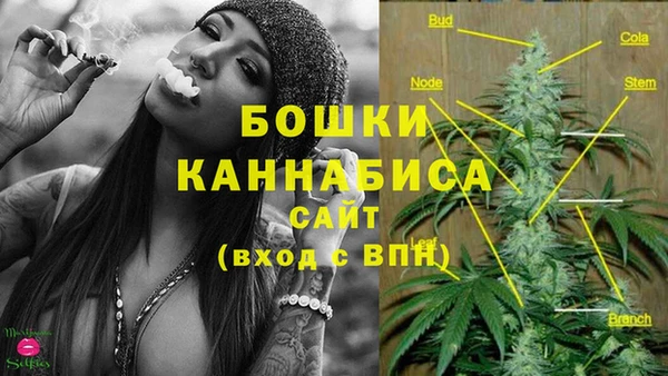 кокаин Белокуриха