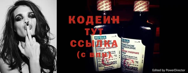 индика Беломорск