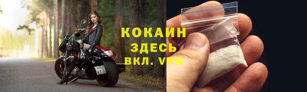 индика Беломорск