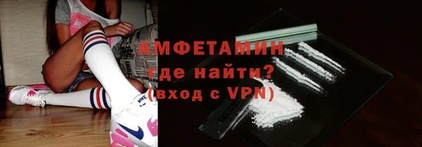 индика Беломорск