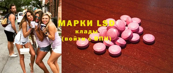 индика Беломорск