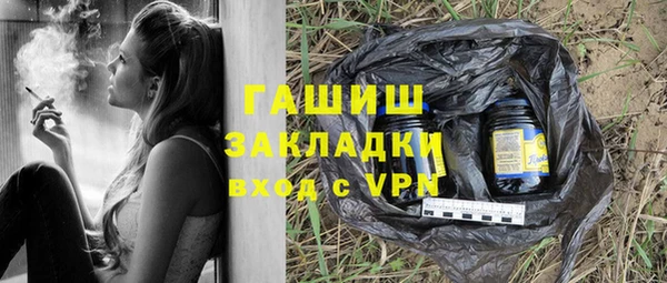 индика Беломорск