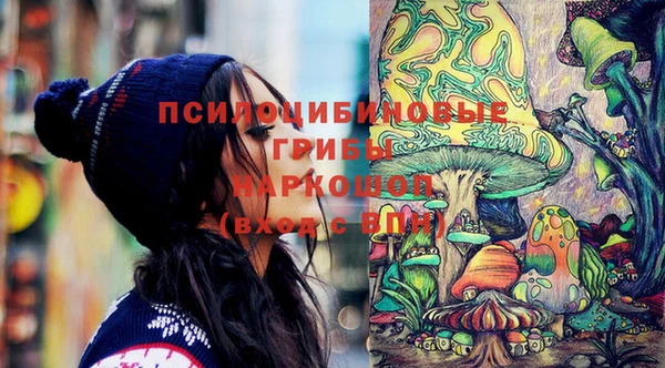 кокаин Белокуриха
