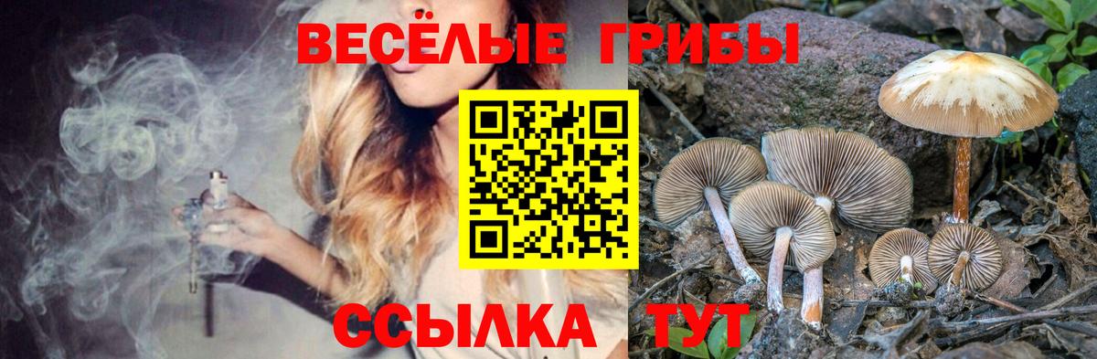 хочу наркоту  Вход с VPN  Рыбинск  Галлюциногенные грибы GOLDEN TEACHER  Галлюциногенные грибы MAGIC MUSHROOMS 